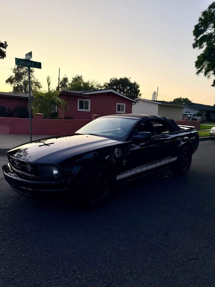 2008 Ford mustang - AUTOMOBILE - United States - Photo 3