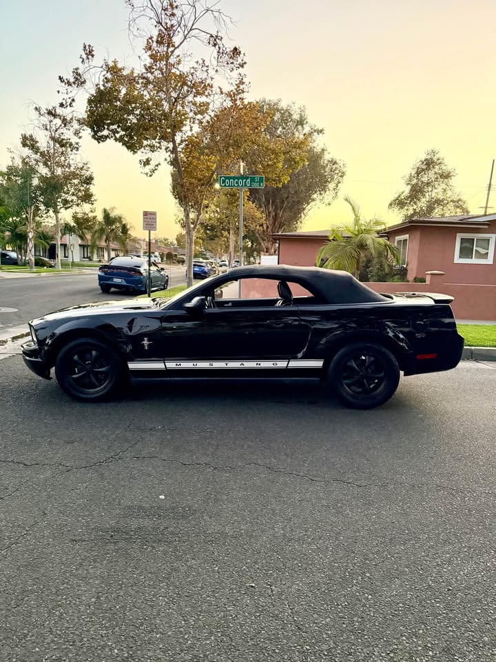 2008 Ford mustang - AUTOMOBILE - United States - Photo 4